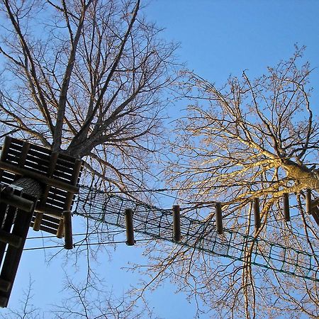 Kempings Ozolkalns Cēsis Kültér fotó