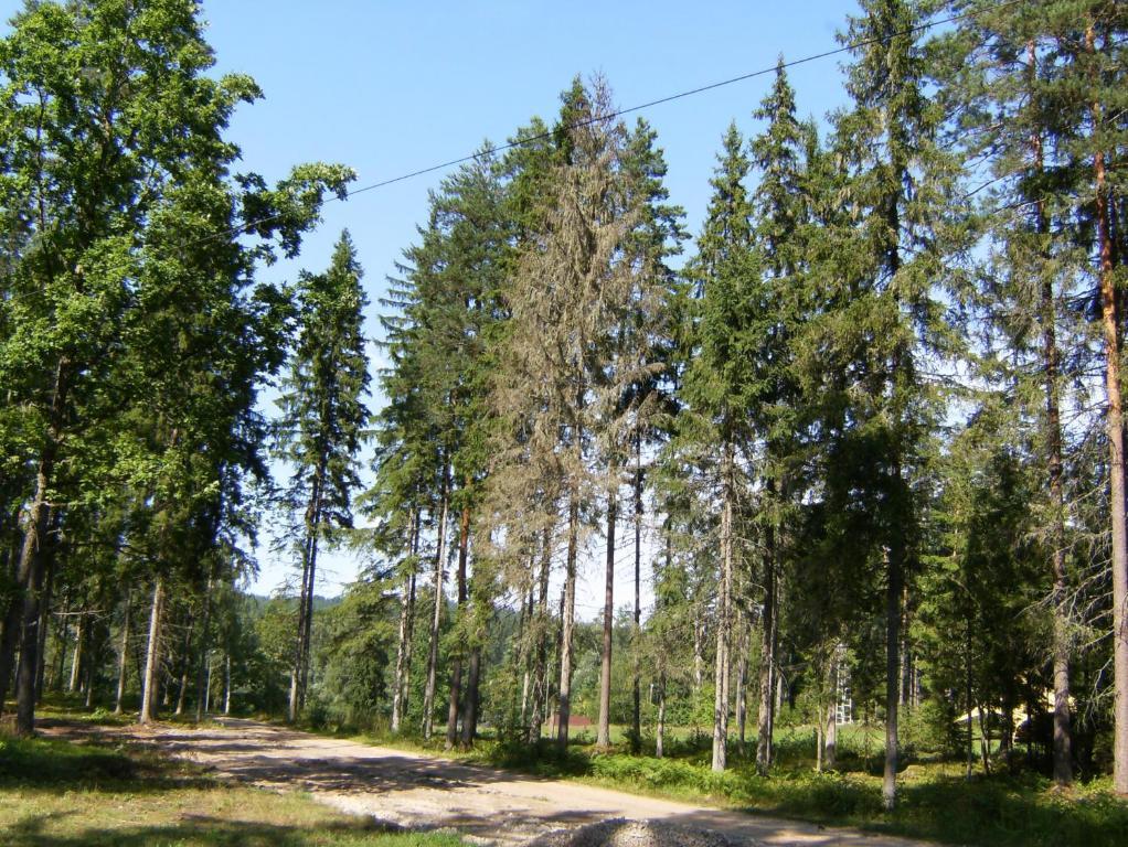 Kempings Ozolkalns Cēsis Kültér fotó