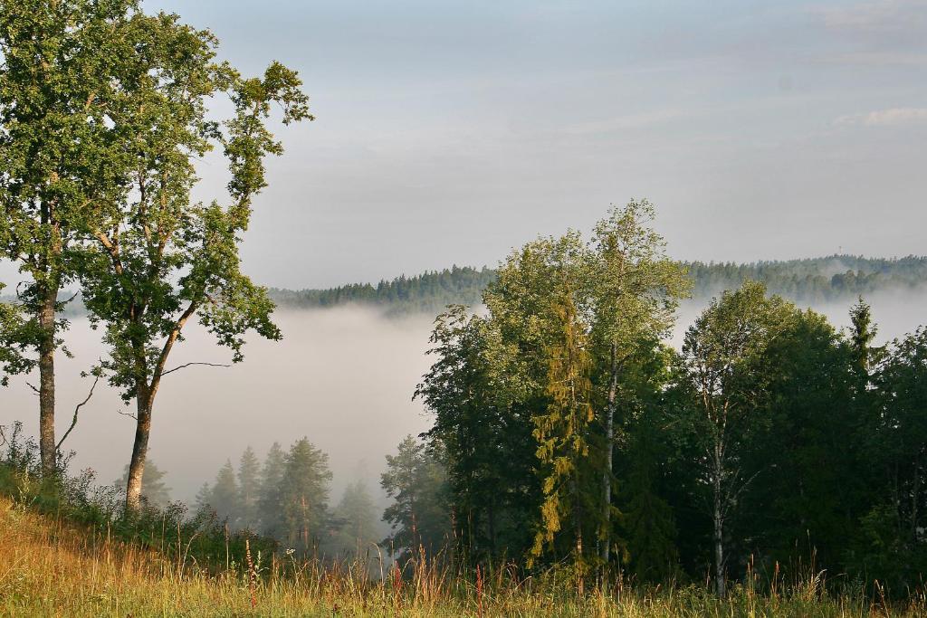 Kempings Ozolkalns Cēsis Kültér fotó